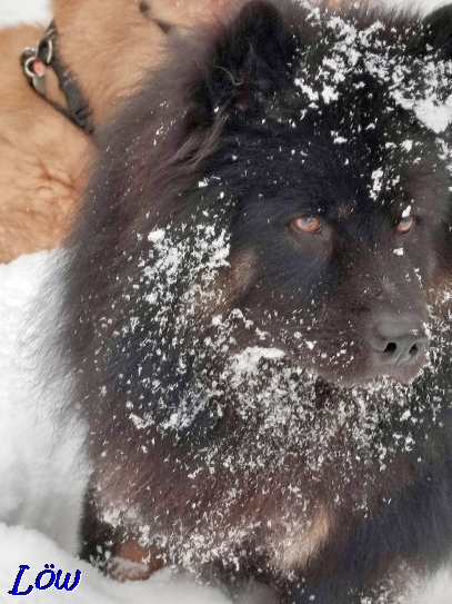 21.1.2023 - Fotopose im Schnee